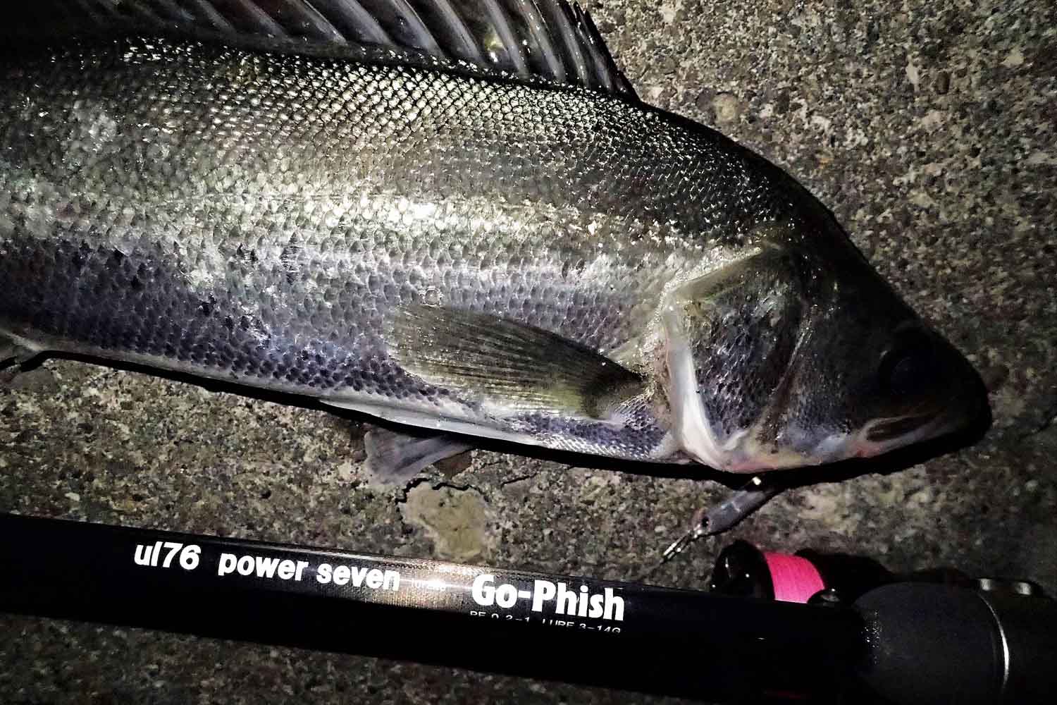 ロッド]Go-Phish ゴーフィッシュ ul-76 P2 torzite（スピニングロッド