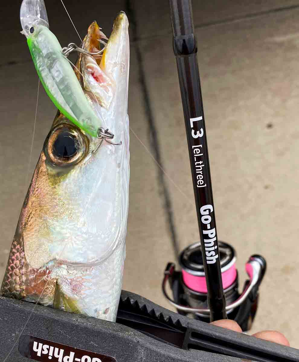 ロッド]Go-Phish ゴーフィッシュ L3 torzite □ネコポス対象外□の通販