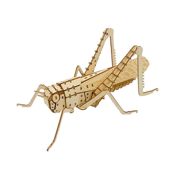 product-114703_grande.jpg?v=