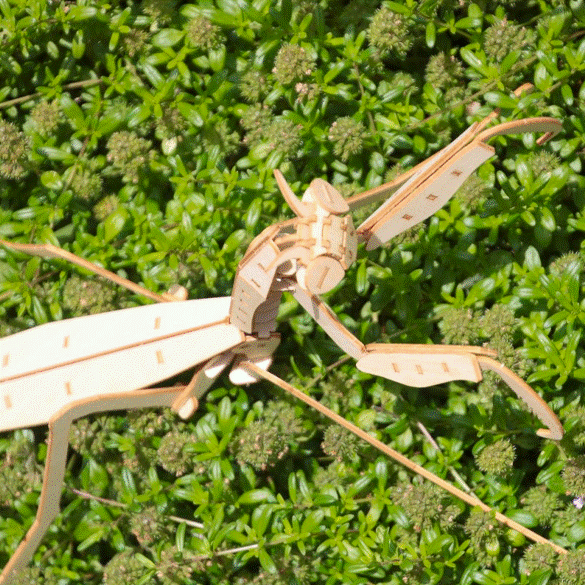 ポケットバグズ07オオカマキリ