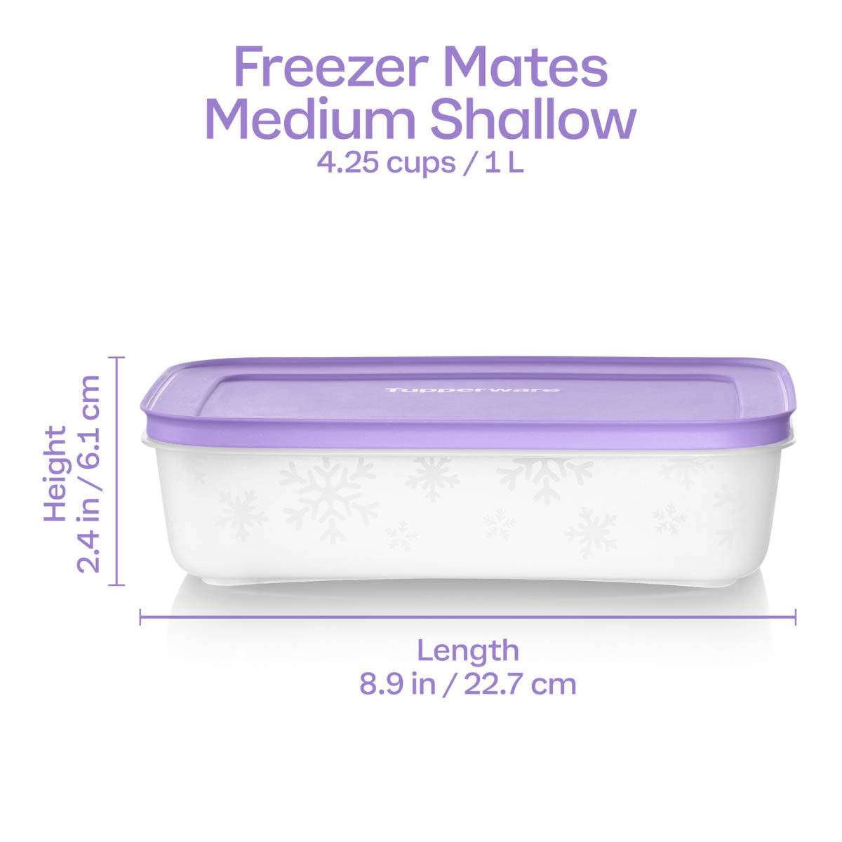 Freezer Mates® Plus | Medium Shallow – Tupperware Brand