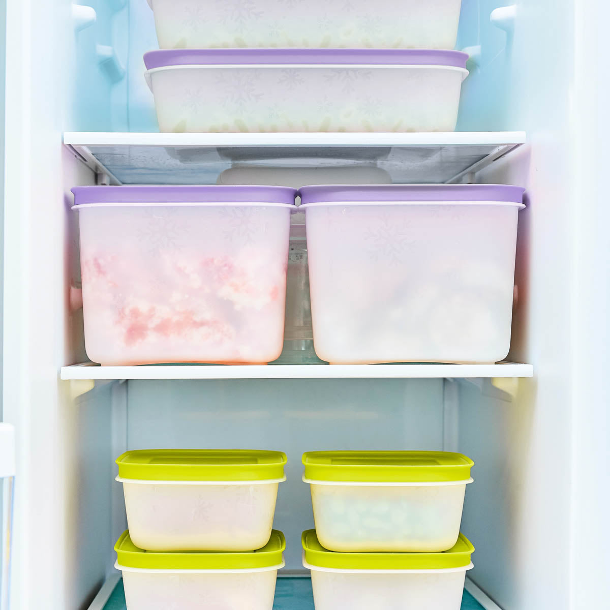 Freezer Mates® Plus | Starter Set – Tupperware Brand