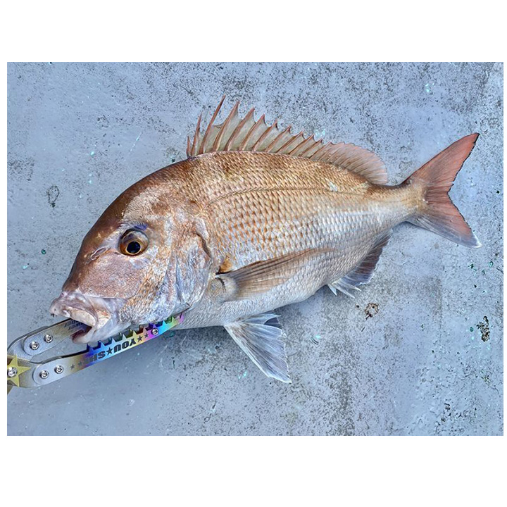 64チタンフィッシュキャッチャー/レインボー / 高知のグレ釣り専門店