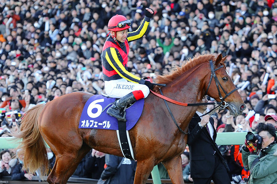 レア オルフェーヴル 2013年有馬記念G1ゼッケン サイン入り 池添謙一