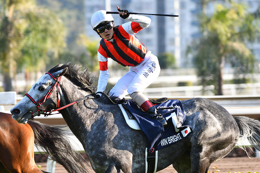 香港カップ】前年覇者ウインブライト「落ち着きも出てきました。順調に