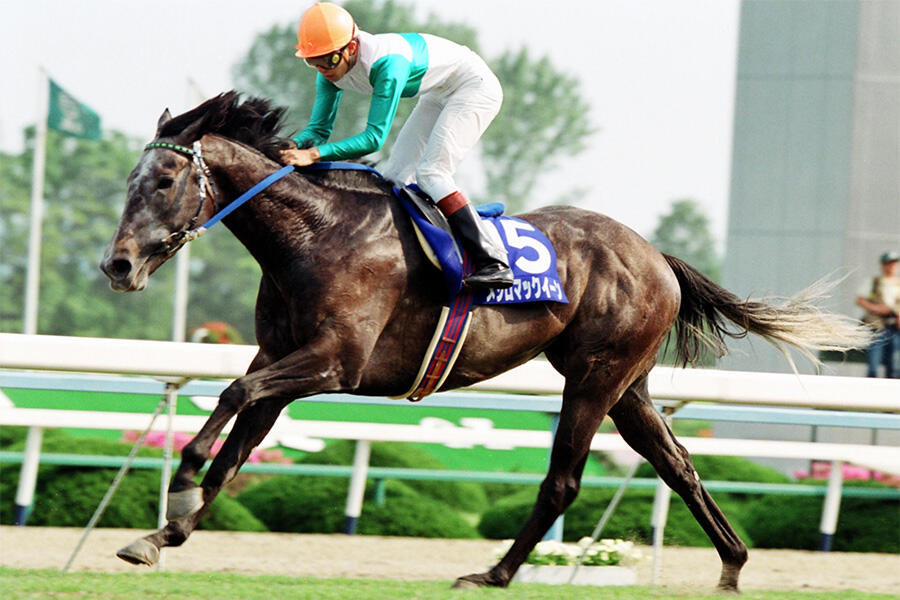 3代続けての天皇賞制覇を達成 メジロマックイーン「クラシックよりも