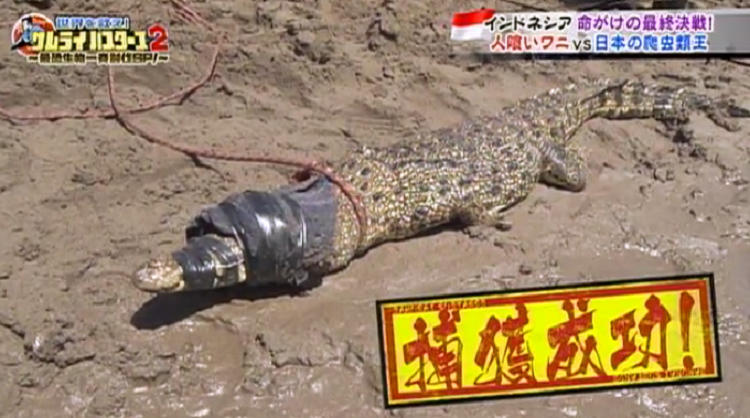 恐怖！ インドネシアで人食いワニが大量発生！ | テレビ東京・BSテレ