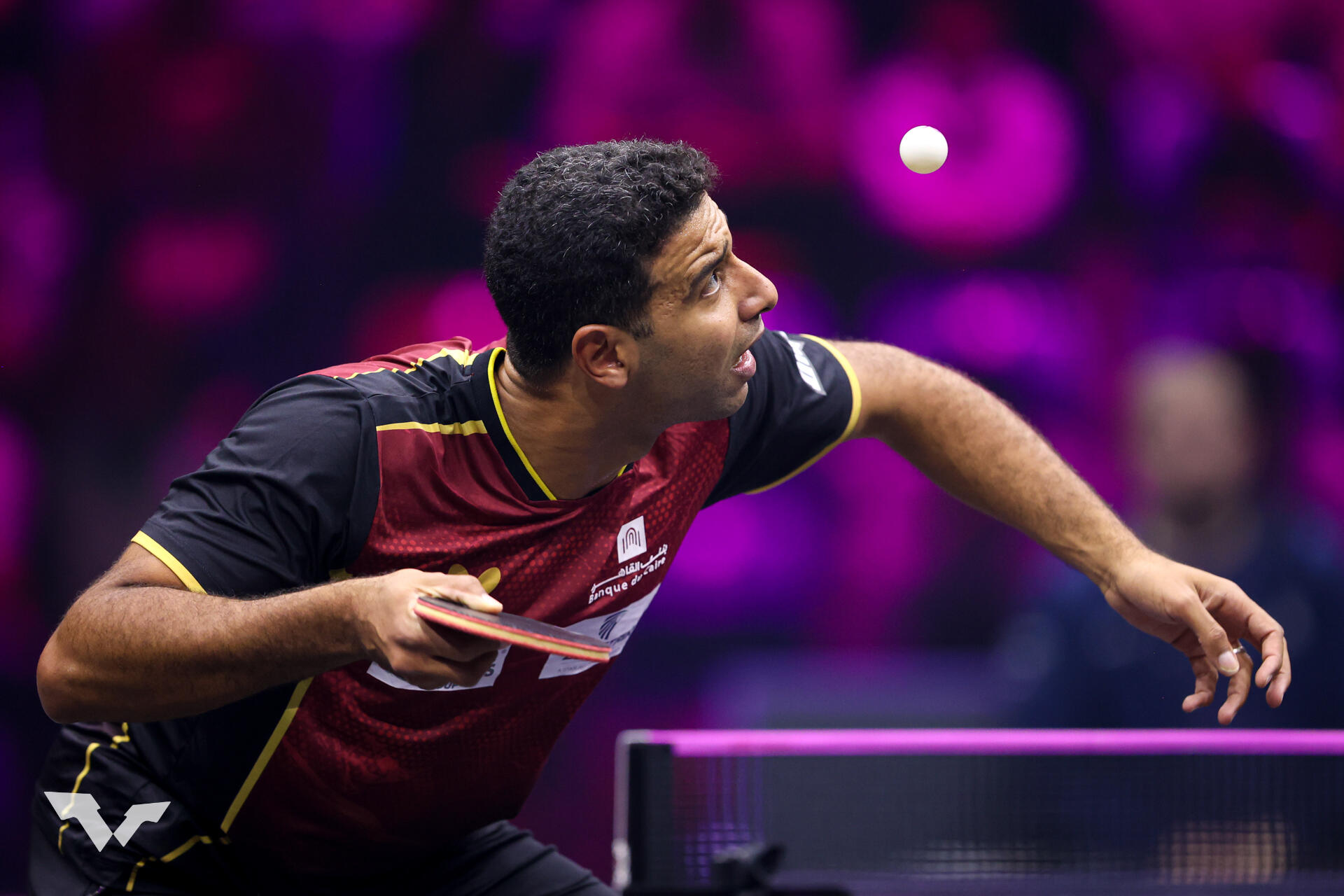 エポック ワン 【張本智和】自身5連勝でチームの勝利に貢献（25.10.5）