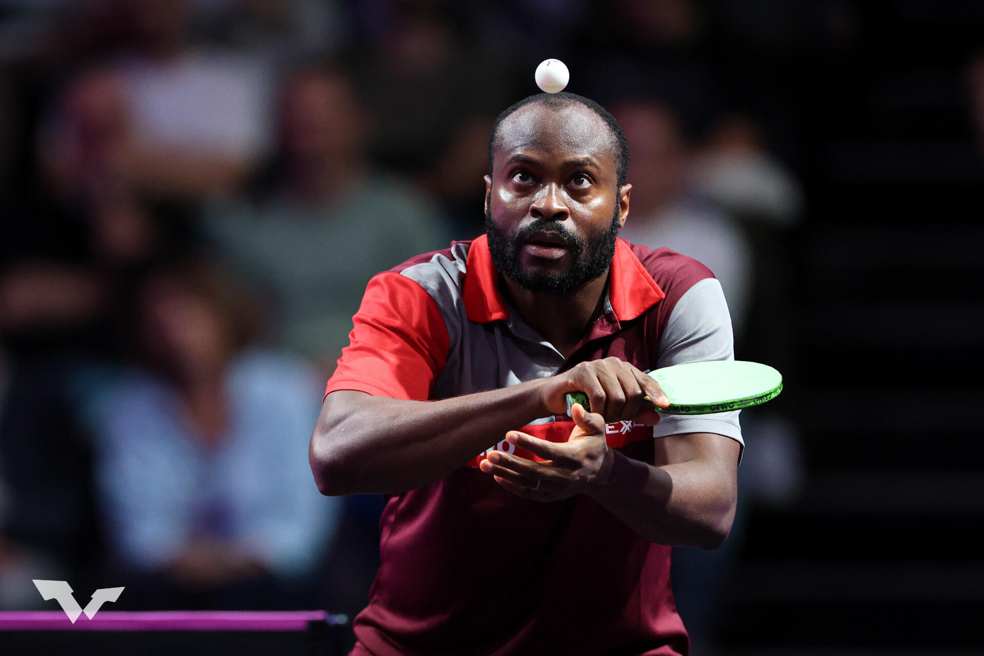 エース張本智和 1回戦で姿を消す。アフリカ王者に2-0から逆転負け