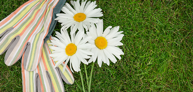 ユーキャンの楽しい園芸通信教育講座｜楽しい園芸講座の特長