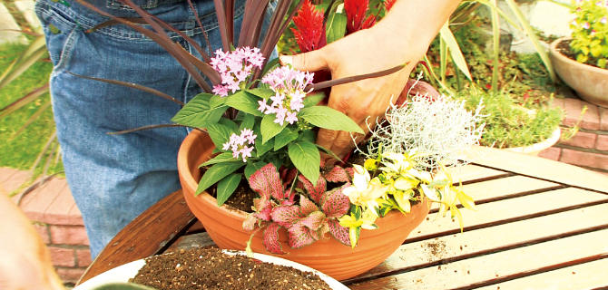 ユーキャンの楽しい園芸通信教育講座｜楽しい園芸講座の特長