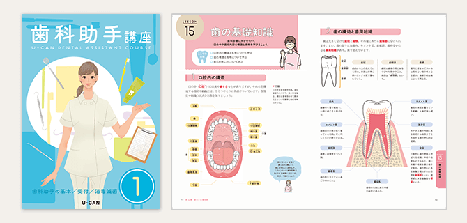 法人・企業向け 歯科助手講座｜企業向け人材育成・社員研修サービスの