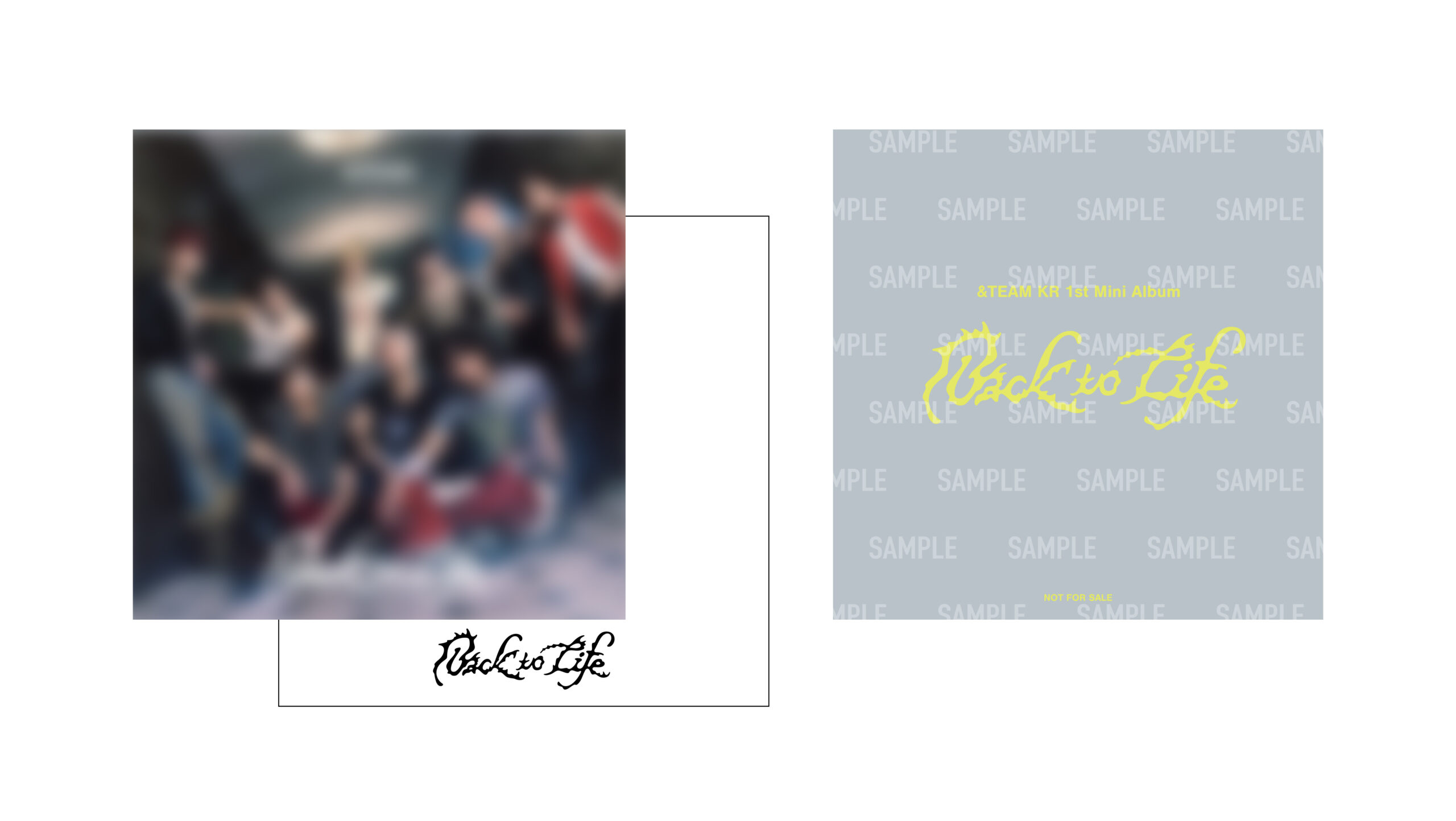 ＆TEAM Back to Life CD&トレカ&イベント参加券 Back to Life【CD