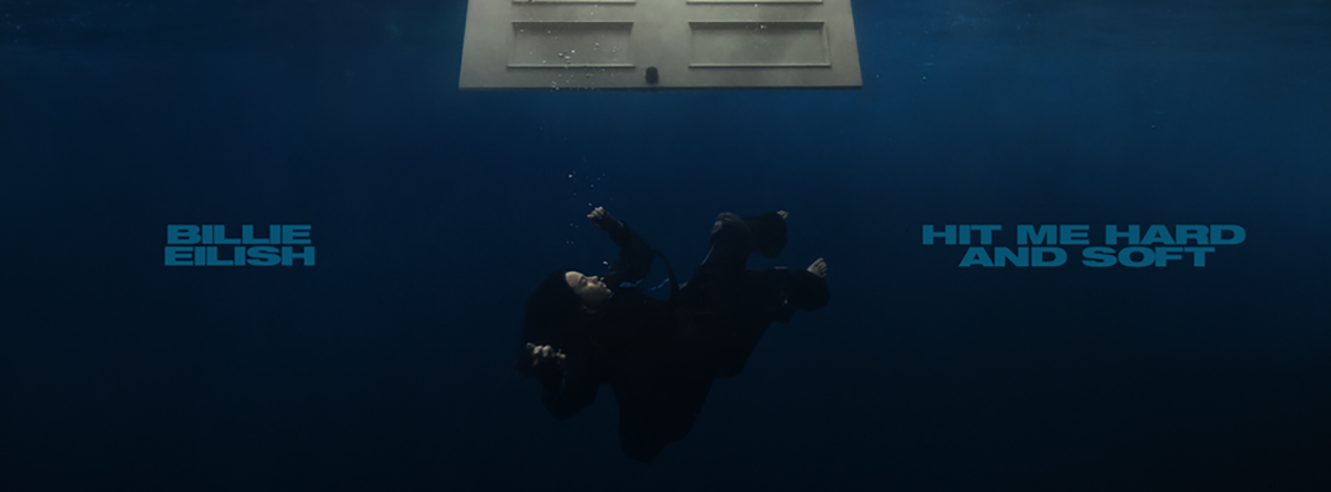 ヒット・ミー・ハード・アンド・ソフト（来日記念帯付き限定盤LP