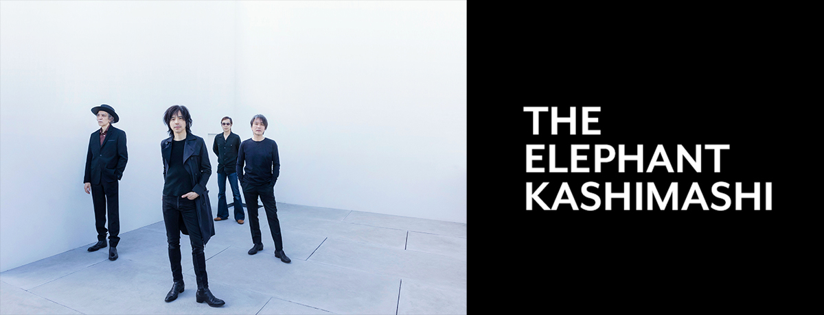 新春ライブ2019日本武道館 [Blu-ray初回限定盤][Blu-ray