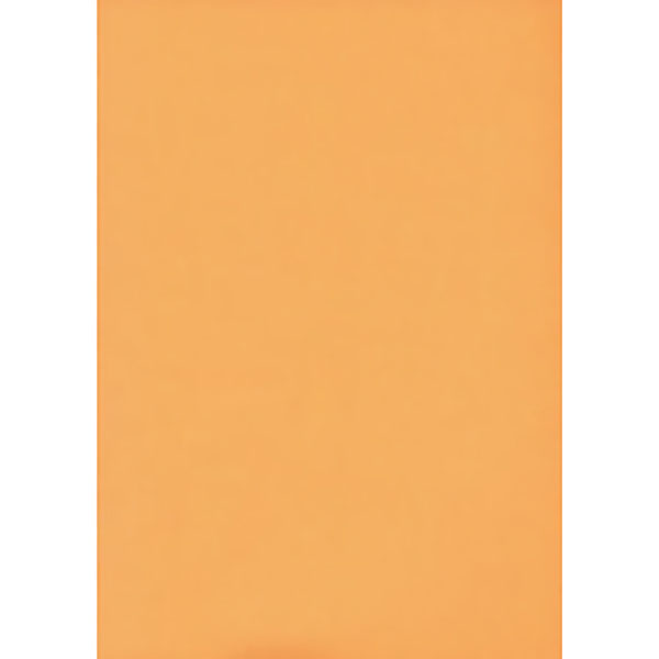 UCHIDASウチダス蛍光ニューカラー 8切フラッシオレンジ 10枚入