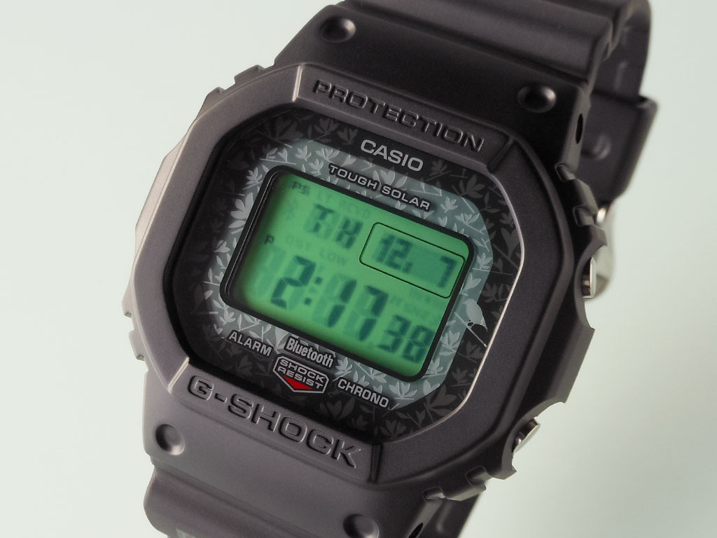 GW-B5600CD-1A3JR／カシオ＜G-ショック＞チャールズ・ダーウィン財団