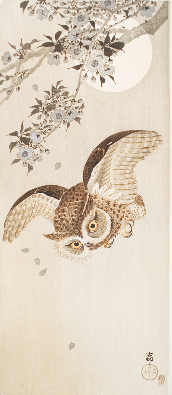 没後80年 小原古邨 ―鳥たちの楽園 | 太田記念美術館 Ota Memorial