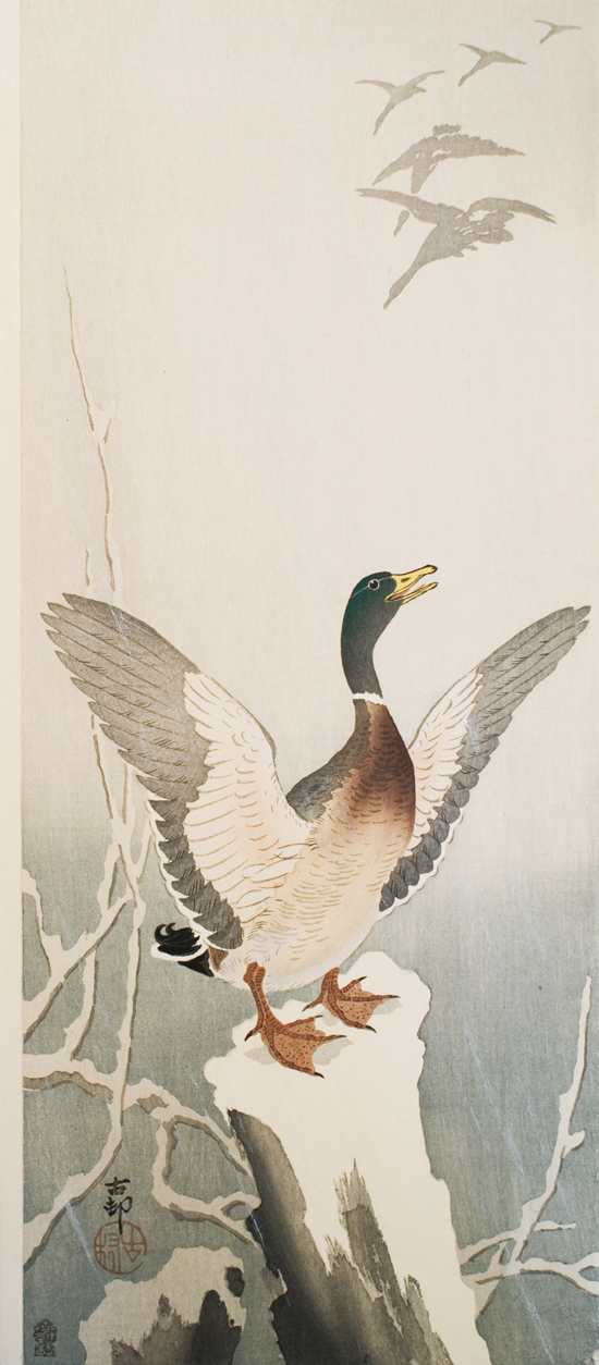 没後80年 小原古邨 ―鳥たちの楽園 | 太田記念美術館 Ota Memorial