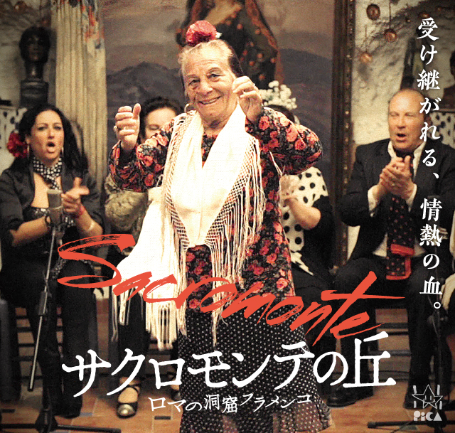 映画『サクロモンテの丘～ロマの洞窟フラメンコ』公式サイト