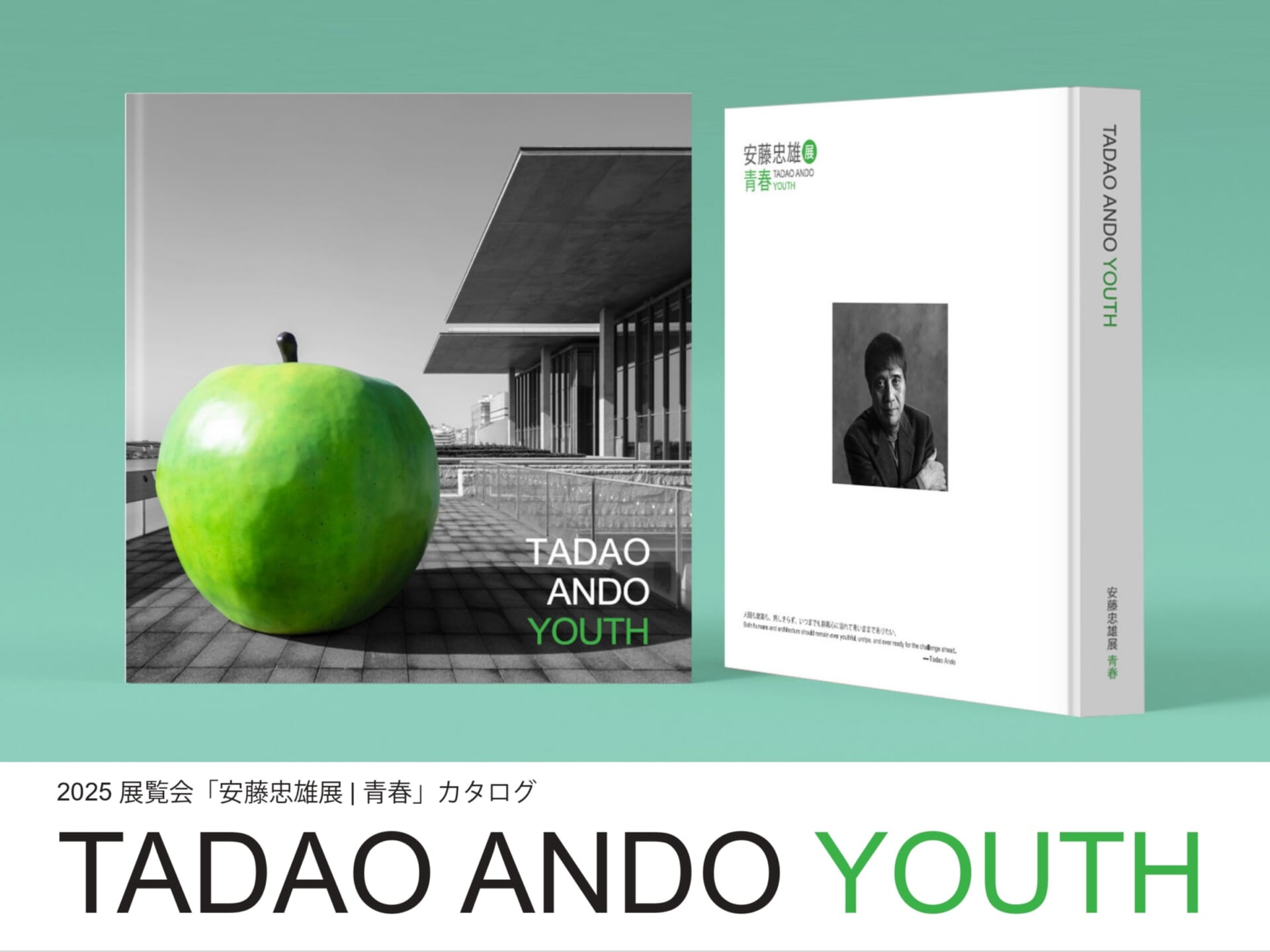 TADAO Tadao Ando Youth 安藤忠雄青春 大阪限定品 安藤さん生サイン