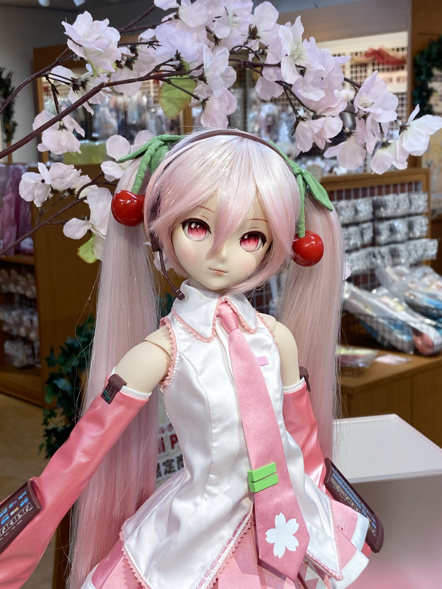 DD 桜ミク 2.0」『「お花見コーデ」セット』注文販売受付中です