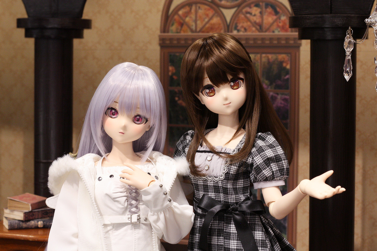 DD ひまり」＆「DDS ちかげ」店頭展示開始しました！ | 天使のすみか