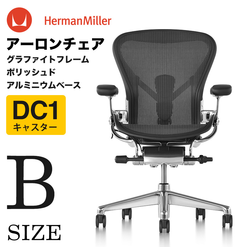 アーロンチェア リマスタード ポスチャーフィットSLフル装備 Bサイズ