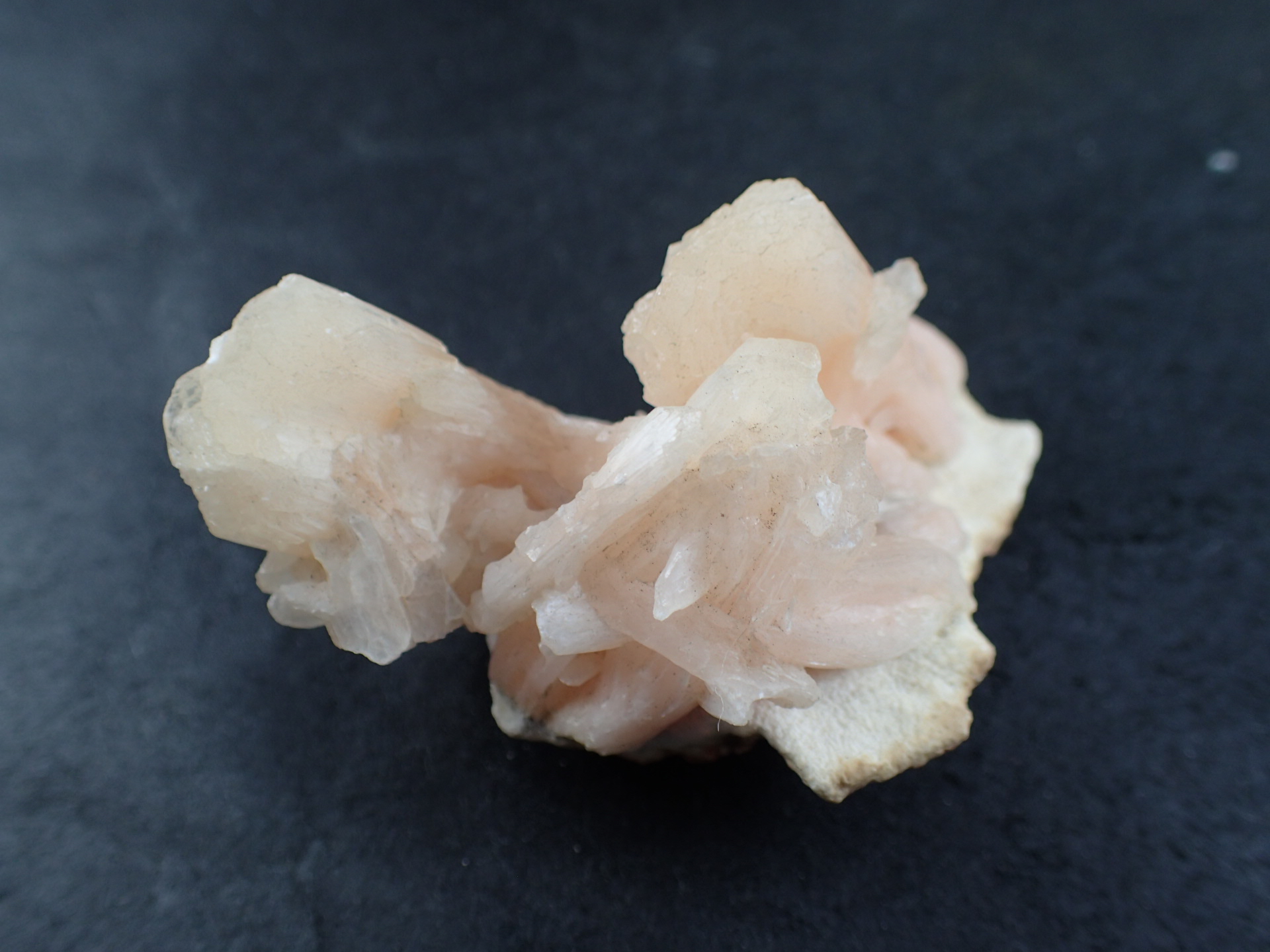 最高品質スティルバイト（Stilbite 束沸石） インド・Aurangabad 産