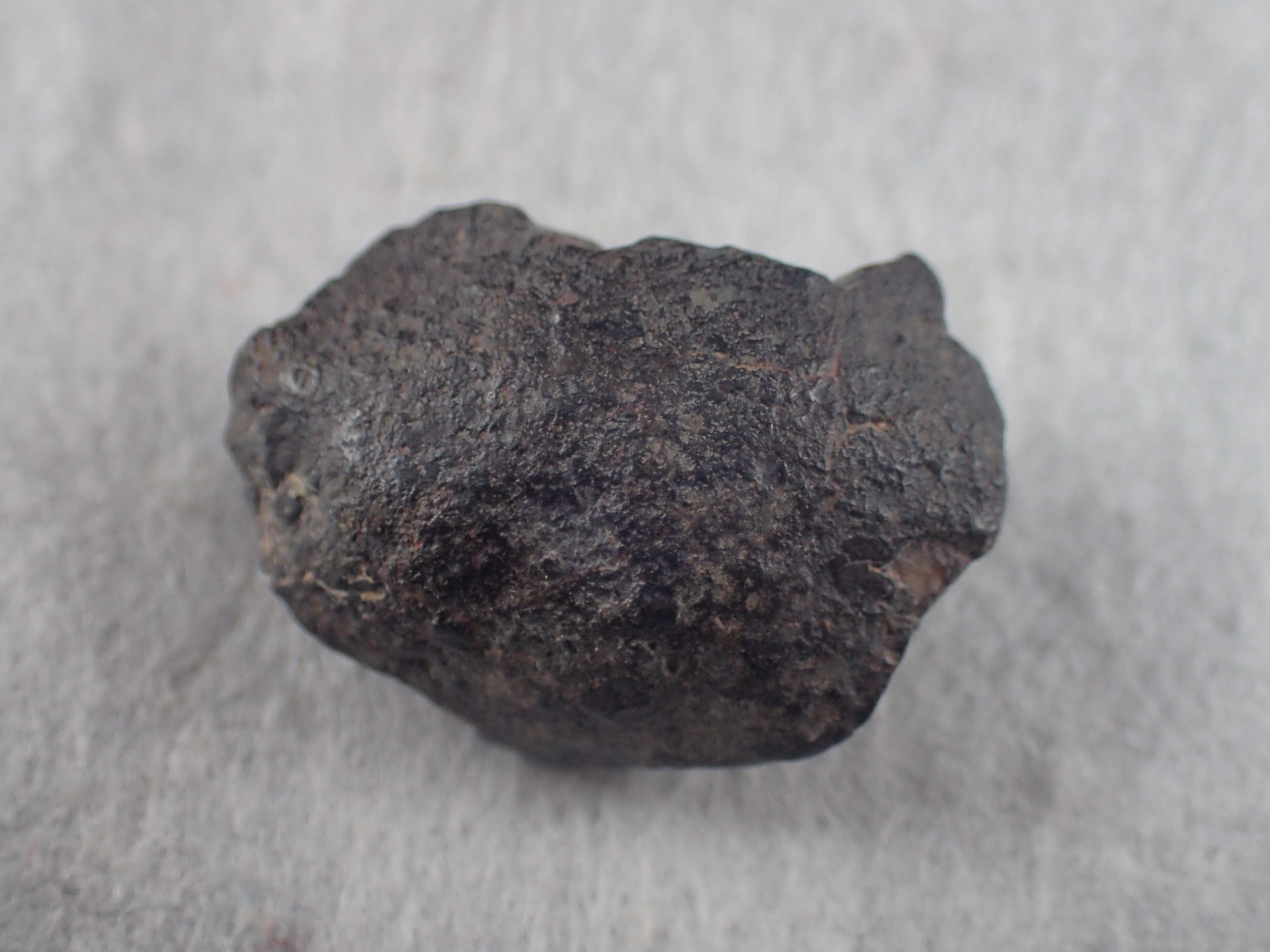 石質隕石 ｜石の販売専門店【vec stone club】