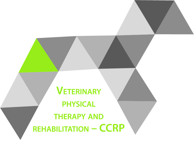Veterinary Physical Therapy and Rehabilitation - Certified Canine