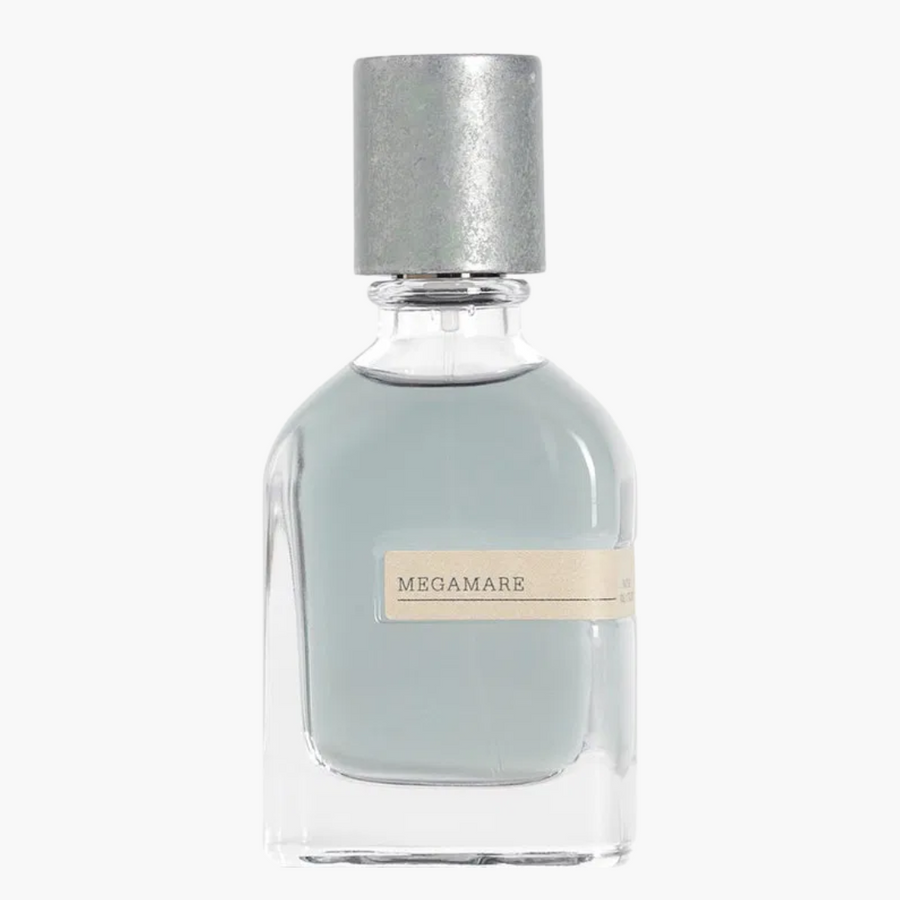 OrtoParisiMegamareEDP1.