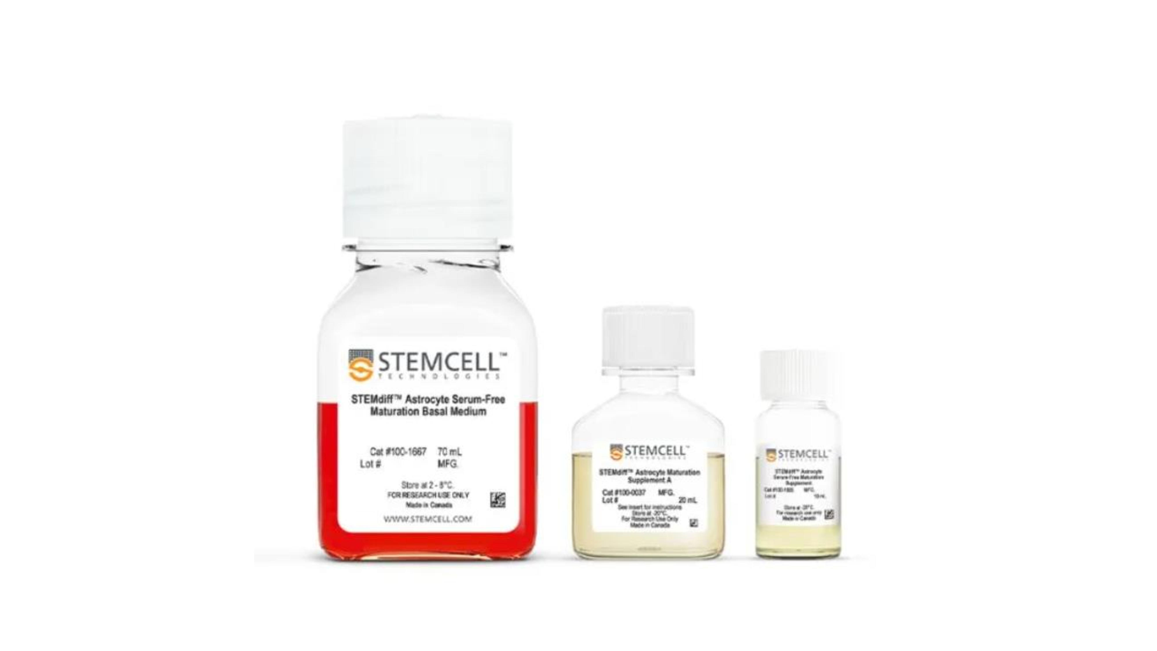STEMdiff Astrocyte Serum-Free Maturation Kit | 製品情報 | ベリタス