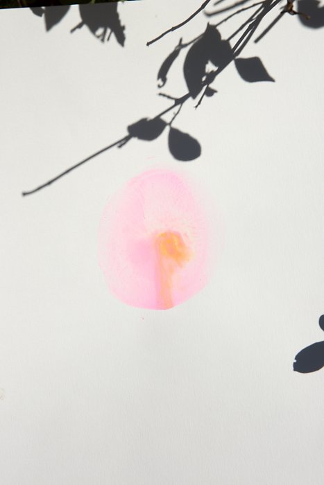 Viviane Sassen • works • Roxane II