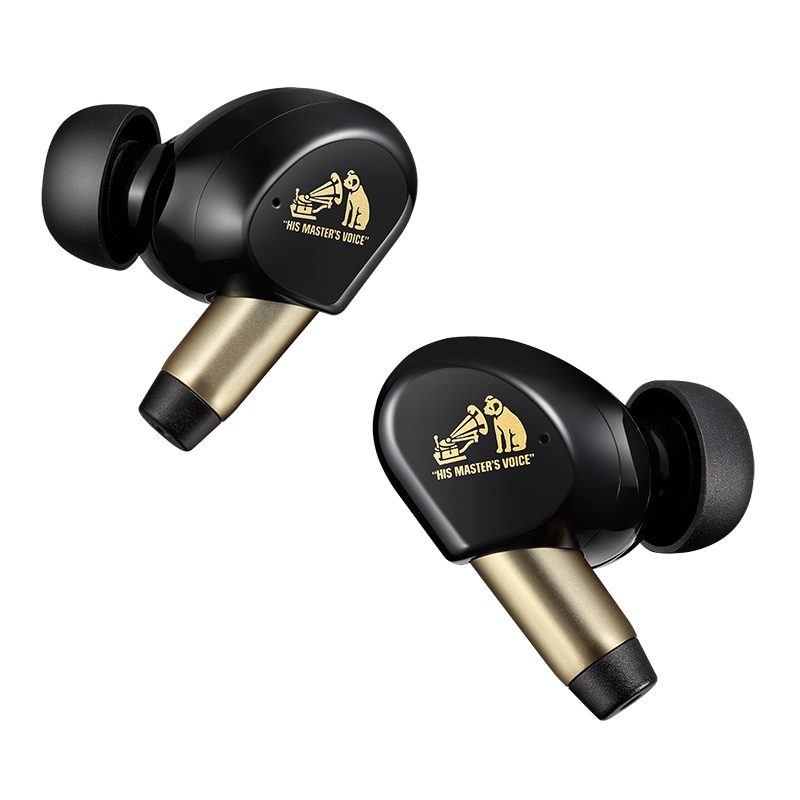 Victor WOOD master spiral dot++付 ビクター、新イヤーピース