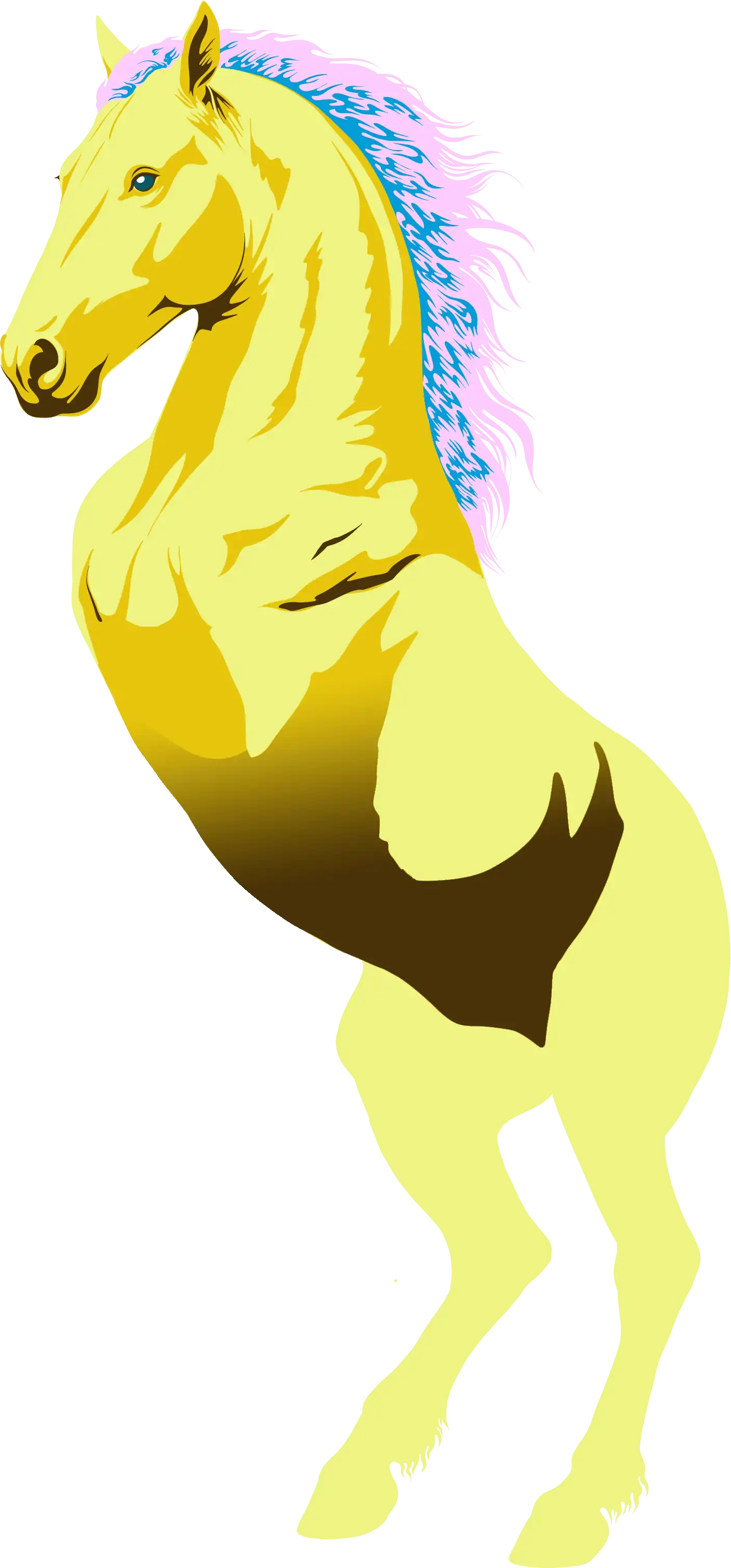 ヴィレヴァン福袋2026