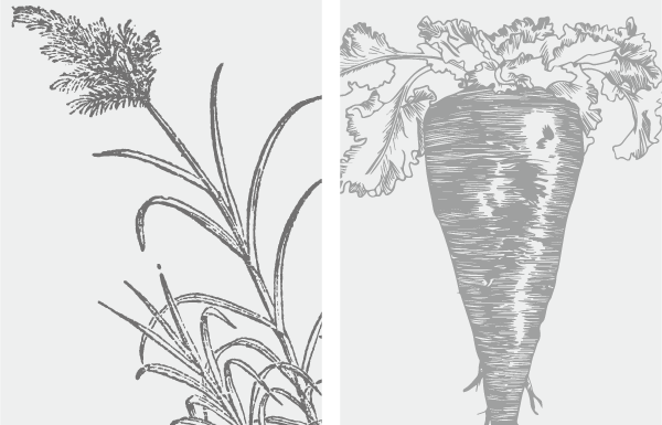 RENOVO Scalp Nourishment（レノーボ スキャルプナリッシュメント