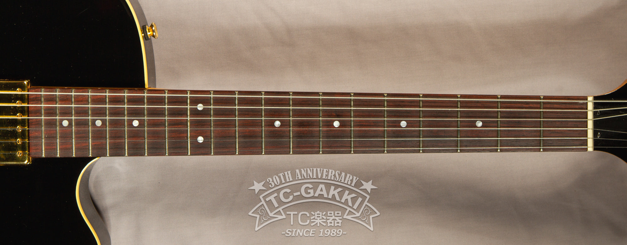 Yamaha AEX500 1998 0 Guitar For Sale TCGAKKI