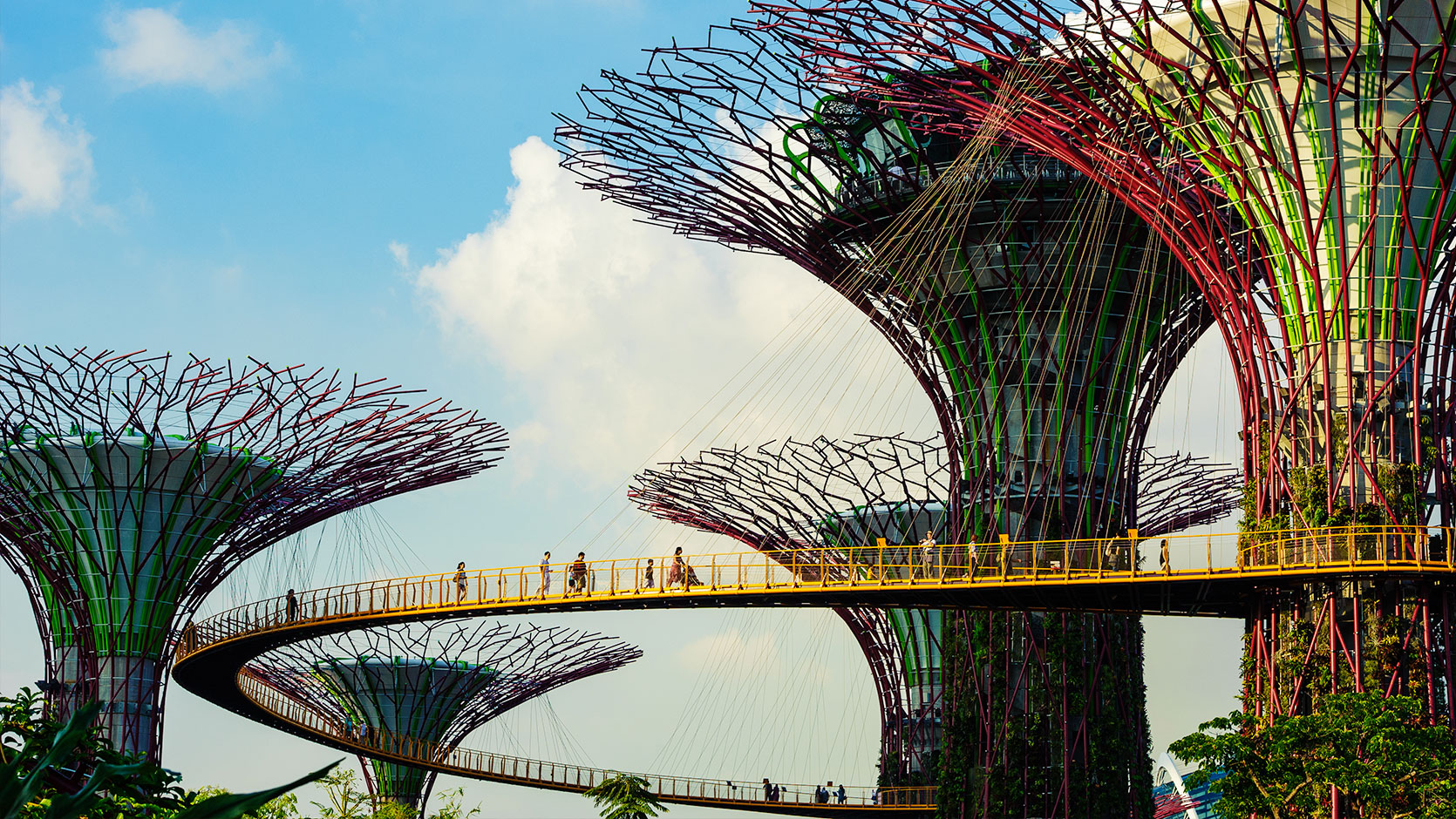 beautiful singapore 古いシンガポールの写真集 beautiful singapore