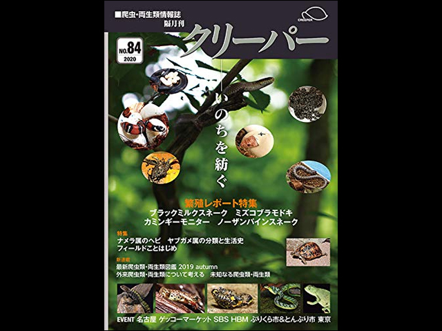CREEPER（クリーパー） NO.84 ナメラ属のヘビ ヤブガメ属の分類と生活史