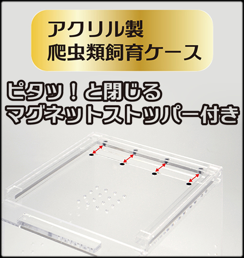 レプタイルボックス ハイ S SANKO Repti Zoo アクリルケース 販売 通販