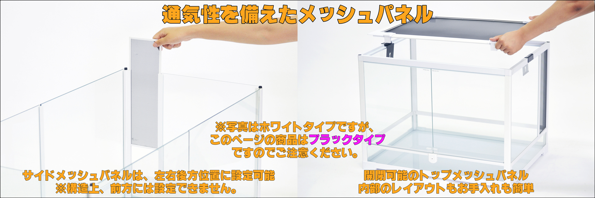 パンテオンカノンブラックBK6045 三晃商会 ガラスケージ 販売 通販