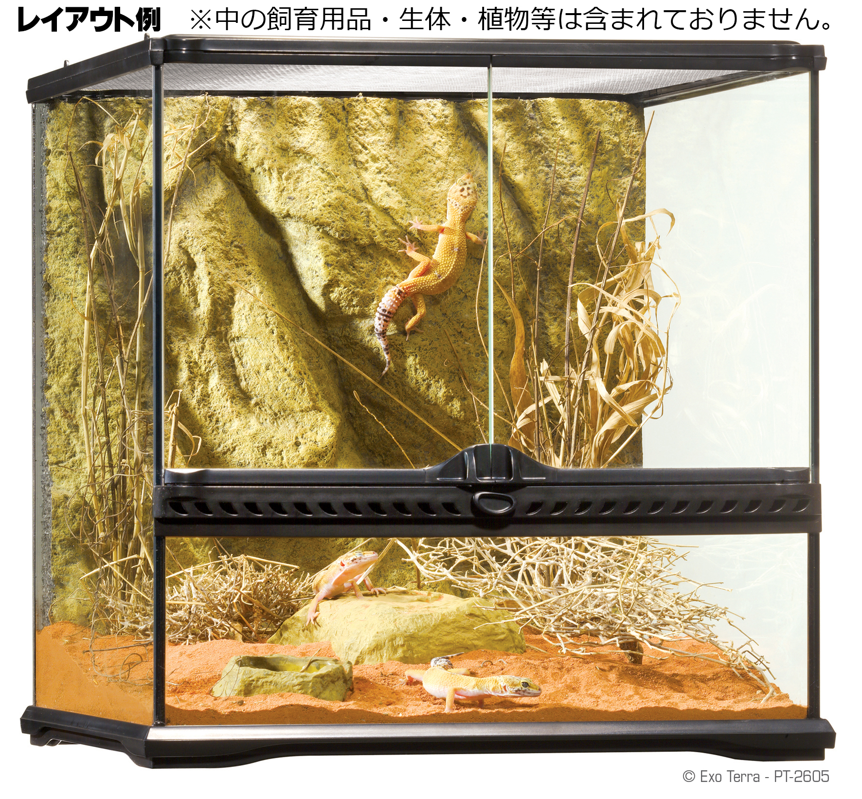 グラステラリウム4545 エキゾテラ GEX ガラス飼育ケージ 販売 通販