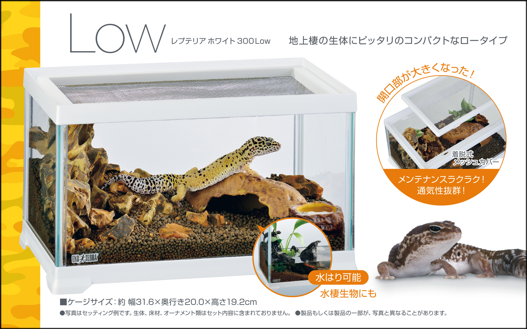 レプテリアホワイト300Low エキゾテラ GEX テラリウム水槽 販売 通販