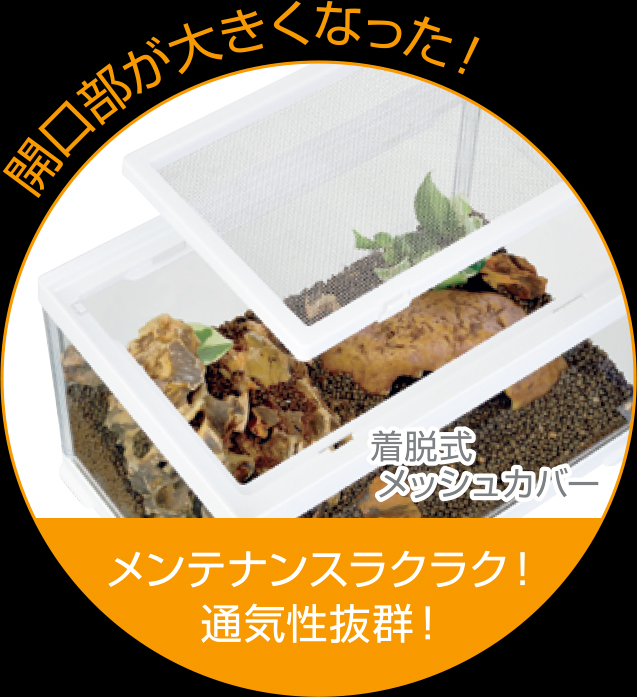 レプテリアホワイト300Low エキゾテラ GEX テラリウム水槽 販売 通販