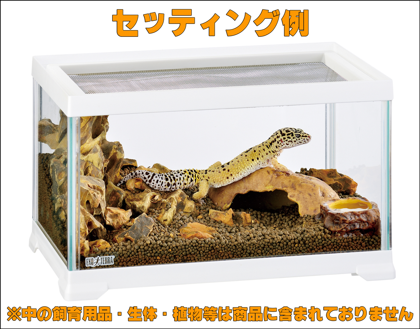 レプテリアホワイト300Low エキゾテラ GEX テラリウム水槽 販売 通販