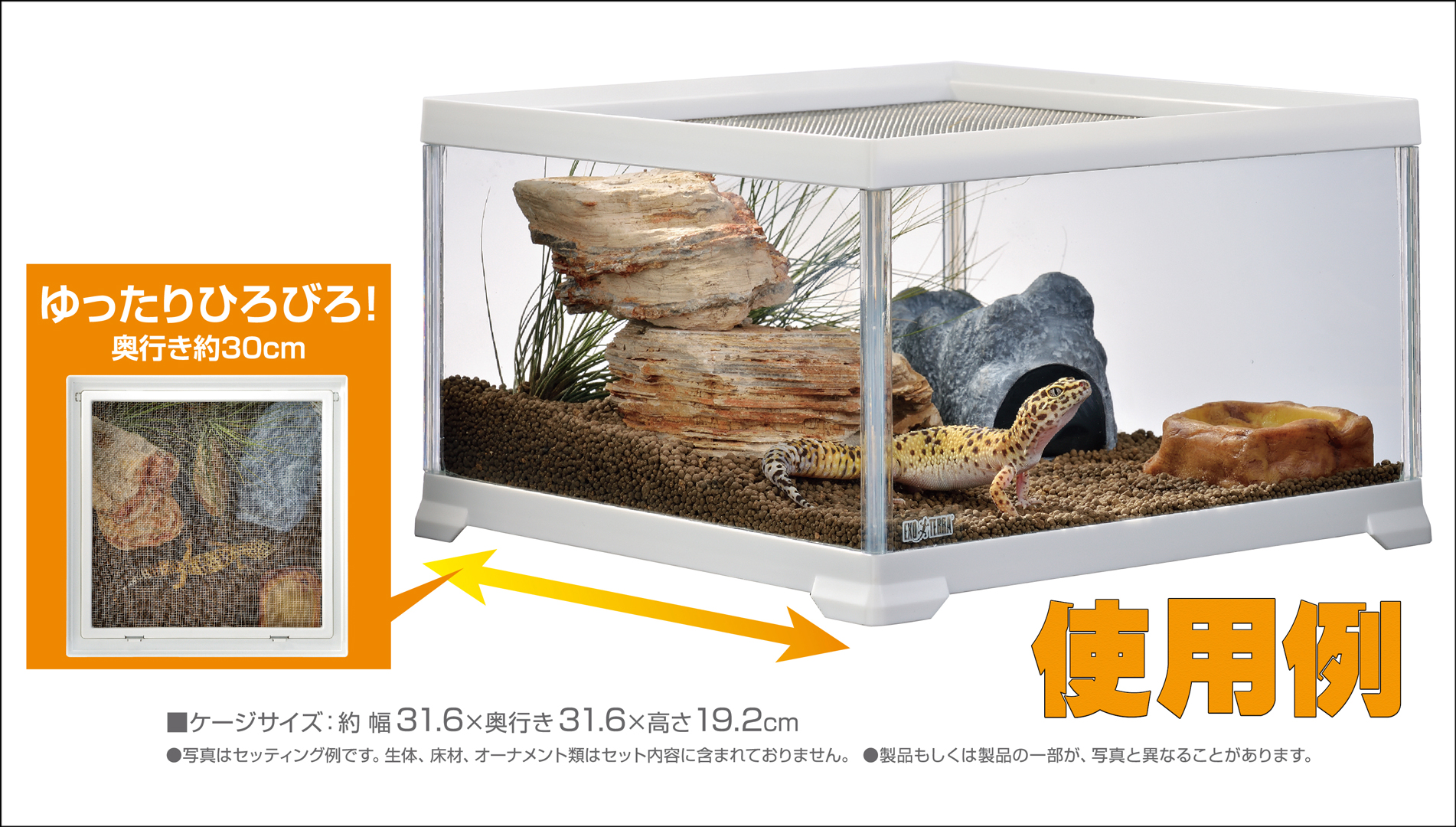 レプテリアホワイト300キューブLow エキゾテラ ジェックス 販売 通販