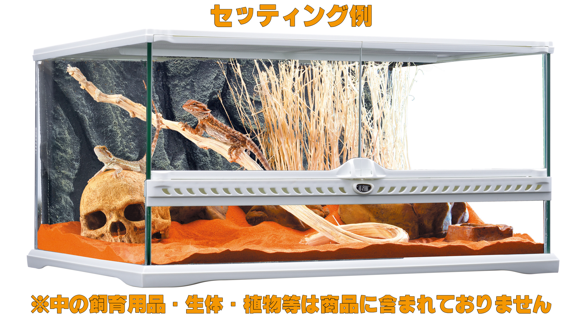 グラステラリウムホワイト6030 エキゾテラ ジェックス 販売 通販