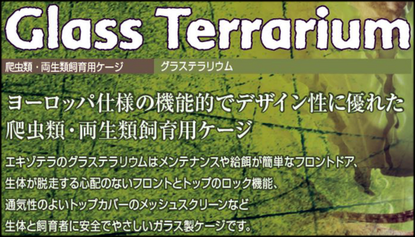 グラステラリウム3045 エキゾテラ GEX ガラス飼育ケージ 販売 通販