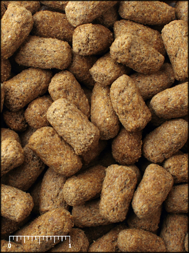 トータスダイエット5M21-S 560g(1.25lb) マズリリクガメの餌 販売 通販